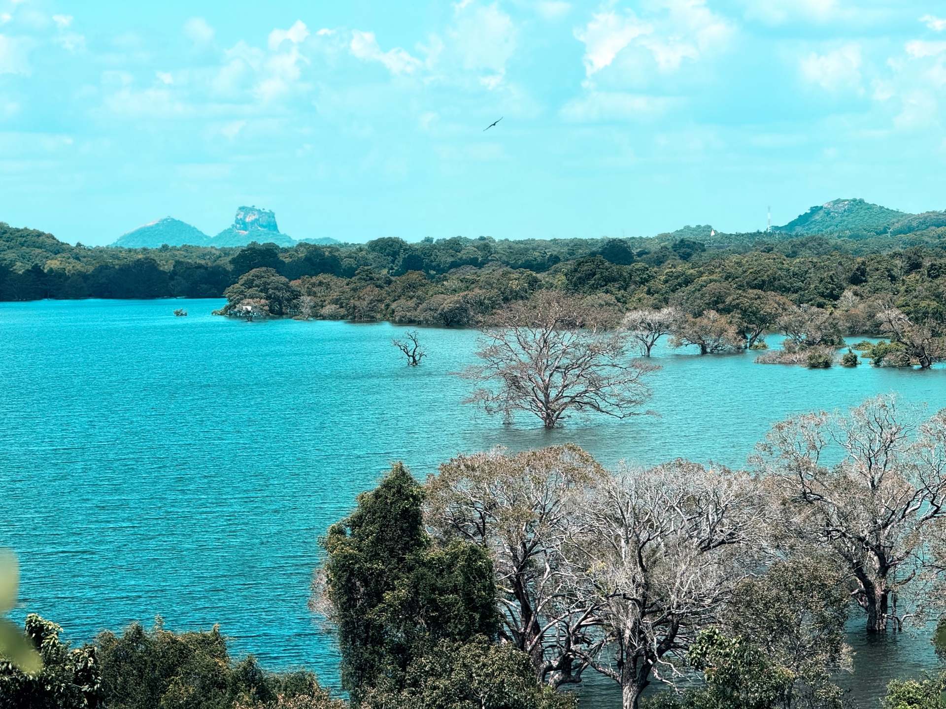 Calm waters of Kandalama Lake