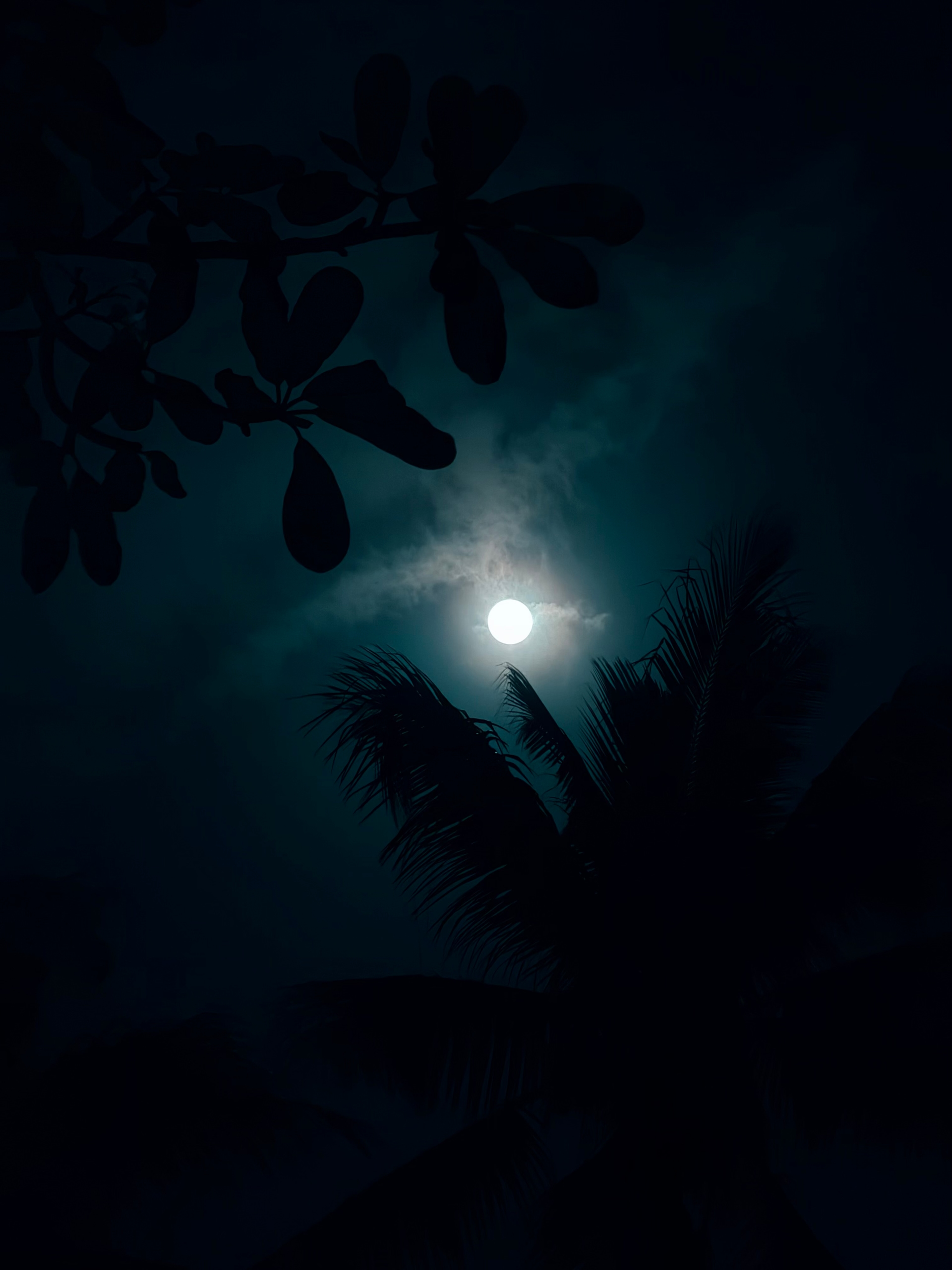 The moon in a mysterious night sky